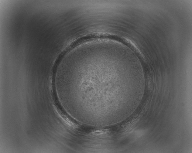 X0000073860447200608241113