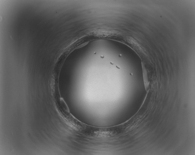 X0000073860448200608241113