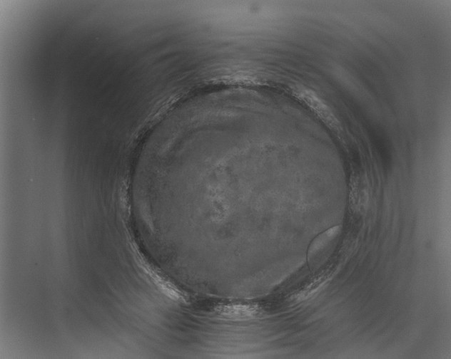 X0000073860449200608241113