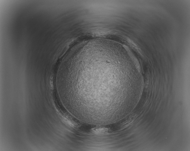 X0000073860452200608241113