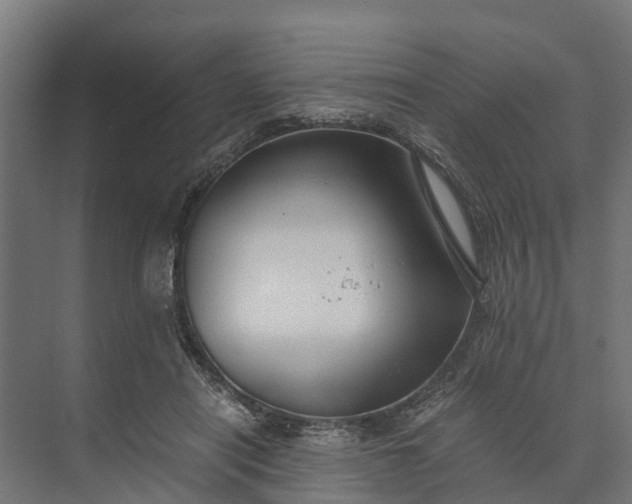 X0000073860454200608241113