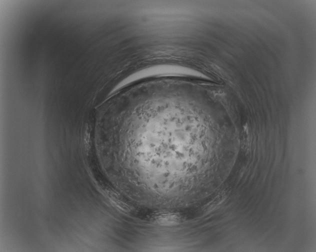 X0000073860456200608241113