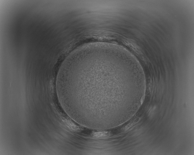 X0000073860461200608241113