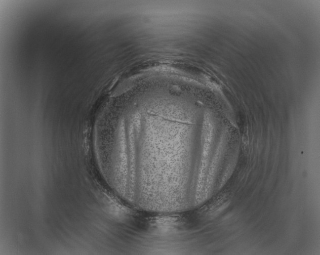 X0000073860462200608241113