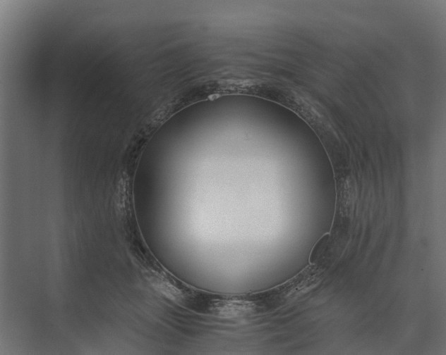 X0000073860463200608241113