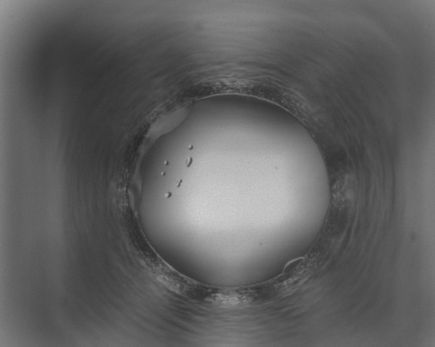 X0000073860464200608241113