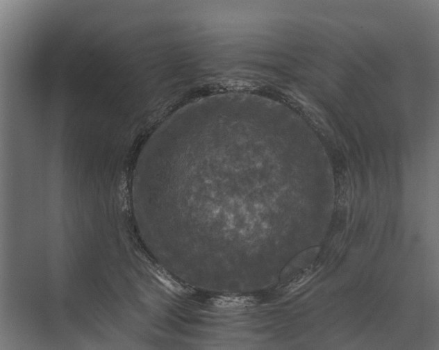 X0000073860465200608241113