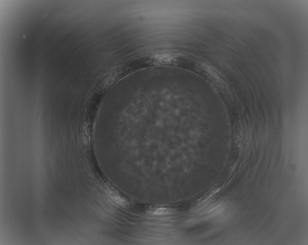 X0000073860467200608241113