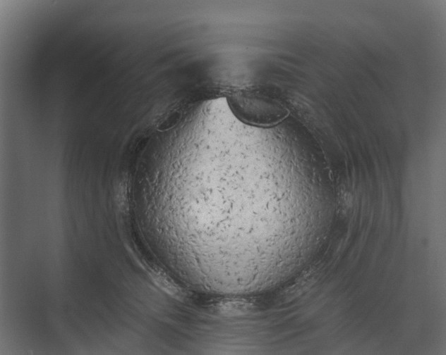 X0000073860468200608241113