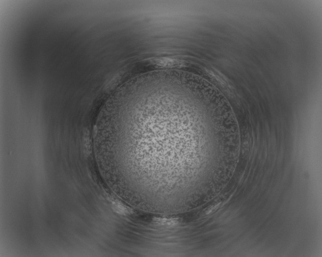 X0000073860469200608241113