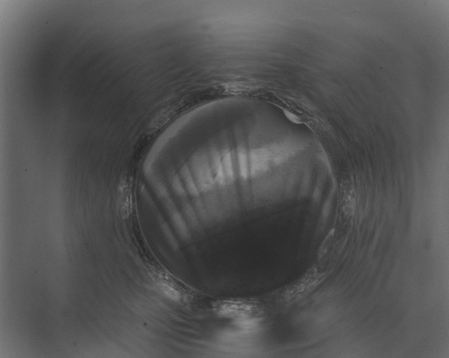 X0000073860471200608241113