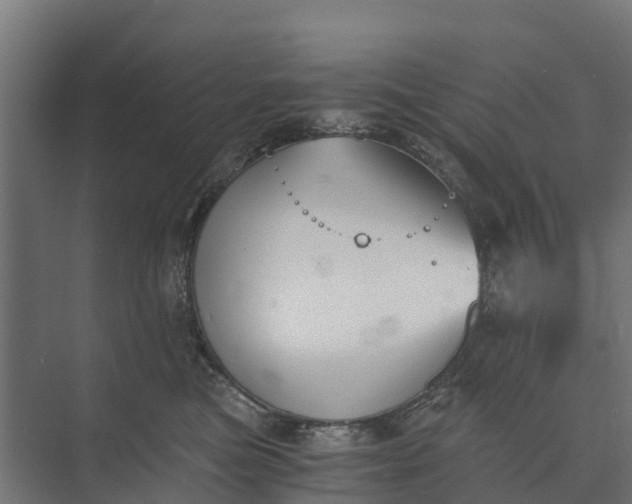 X0000073860473200608241113