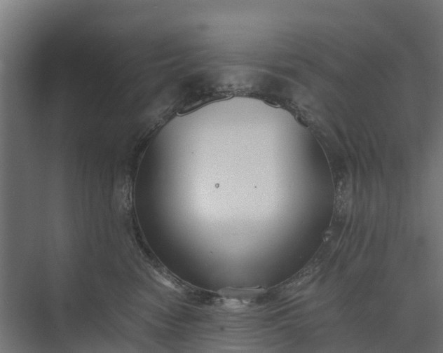 X0000073860474200608241113