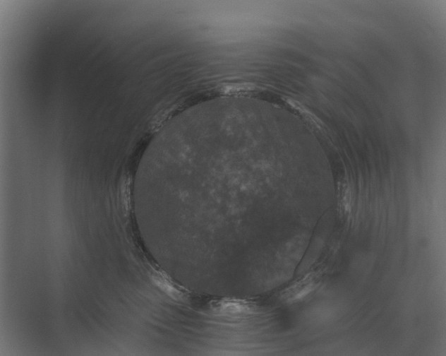 X0000073860475200608241113