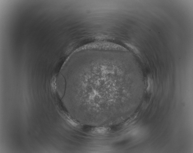 X0000073860479200608241113