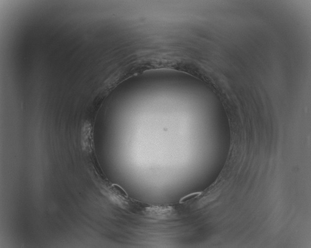 X0000073860480200608241113