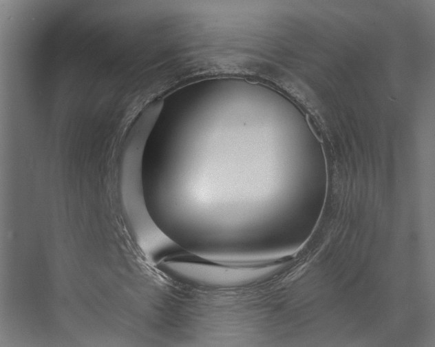 X0000073860481200608241112