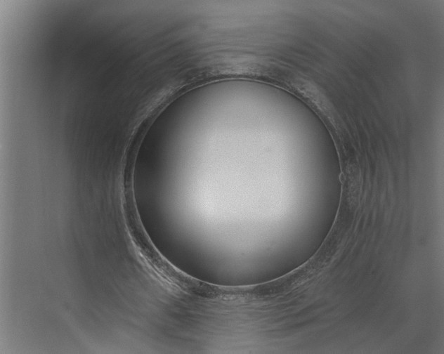 X0000073860482200608241112