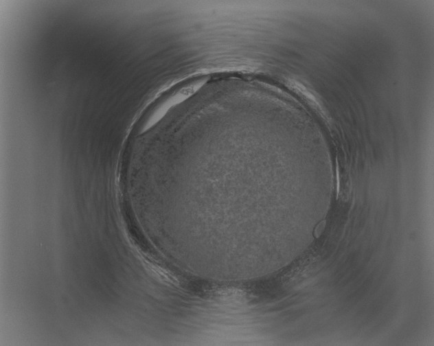 X0000073860483200608241112