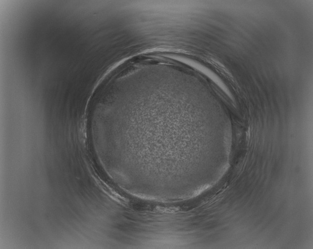 X0000073860484200608241112