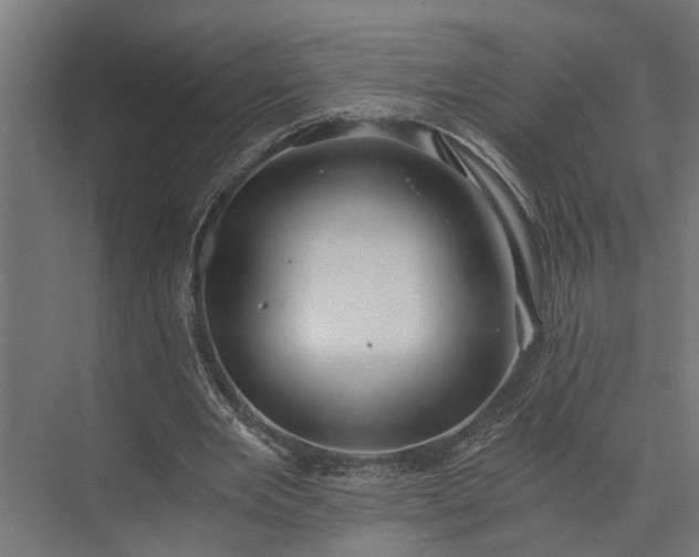 X0000073860485200608241112