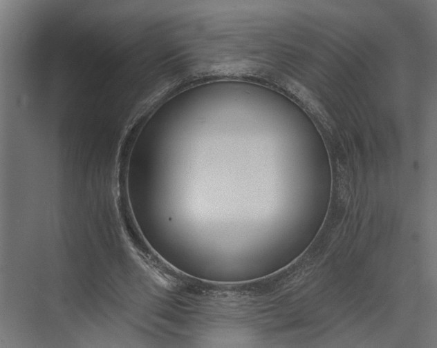 X0000073860486200608241112