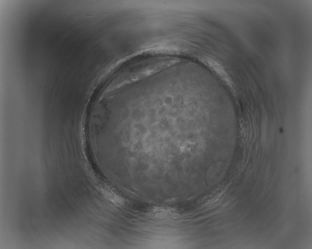 X0000073860487200608241112