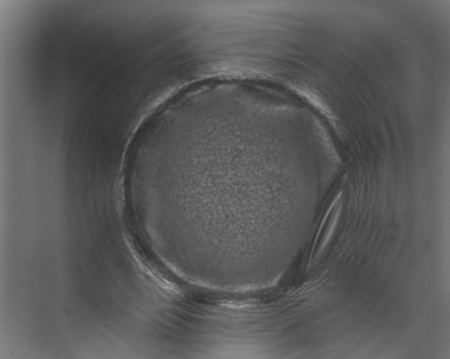 X0000073860488200608241112