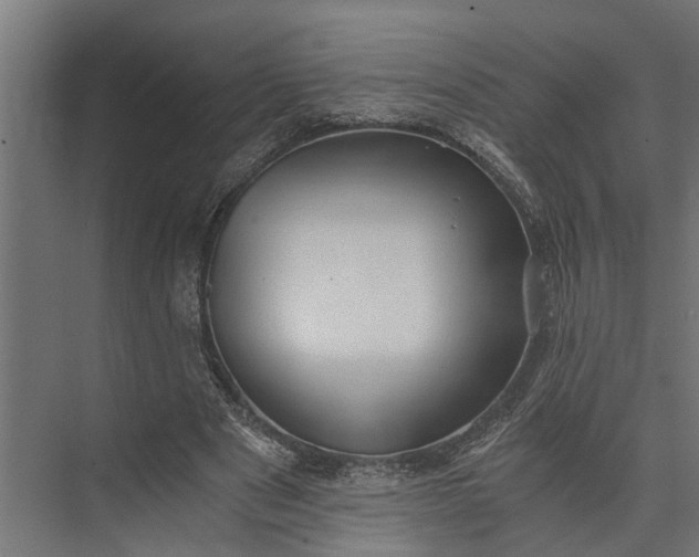 X0000073860489200608241112