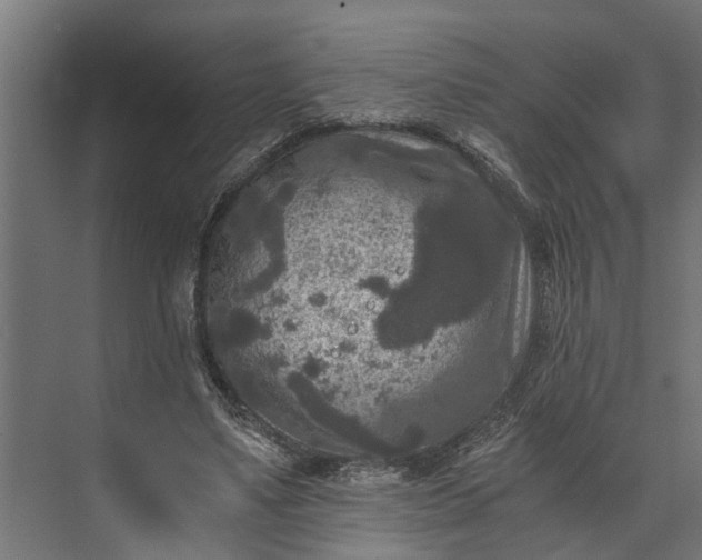 X0000073860491200608241112