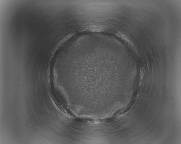 X0000073860492200608241112