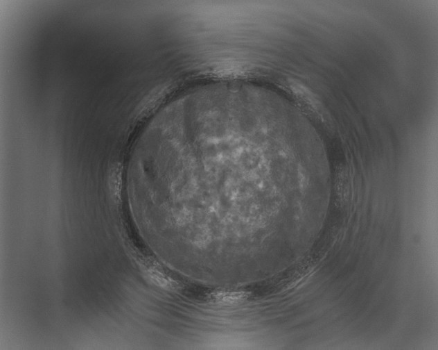 X0000073860495200608241112