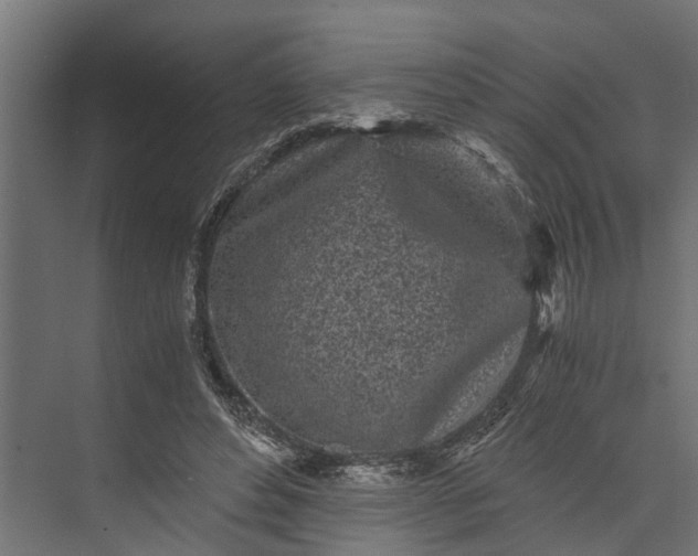 X0000073860496200608241112