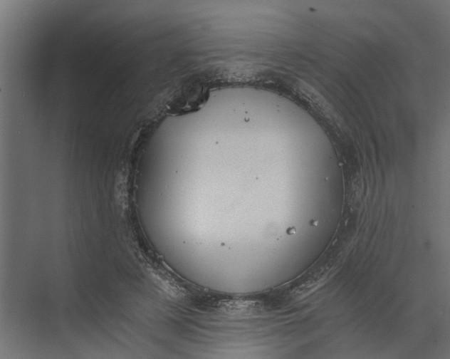 X0000073860497200608241112