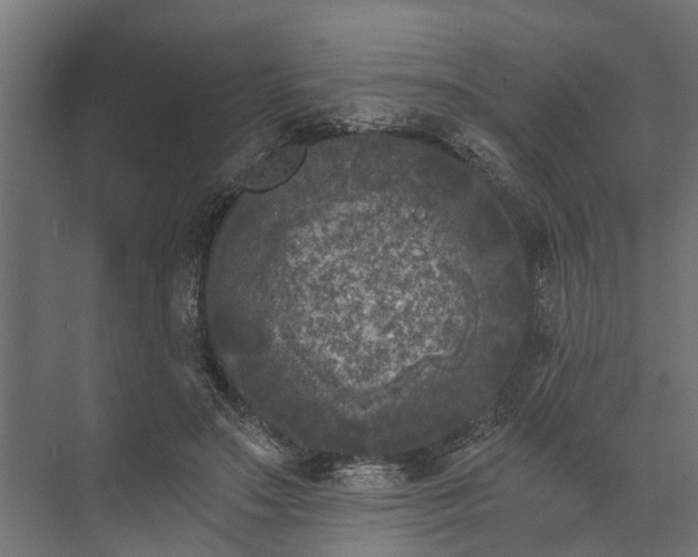 X0000073860499200608241112