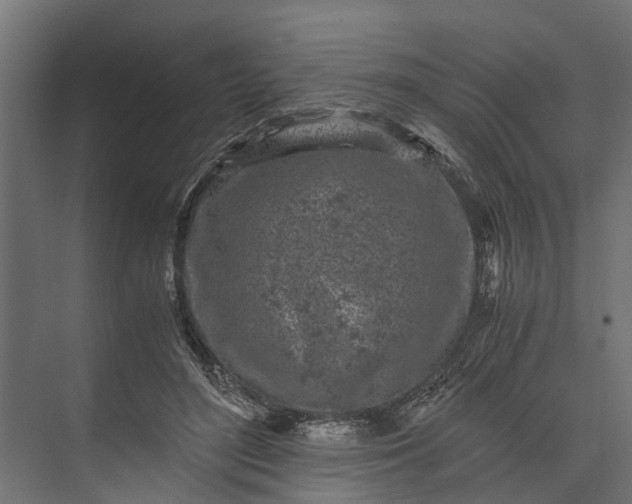 X0000073860500200608241112