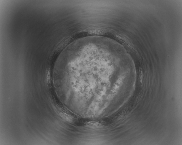 X0000073860502200608241112