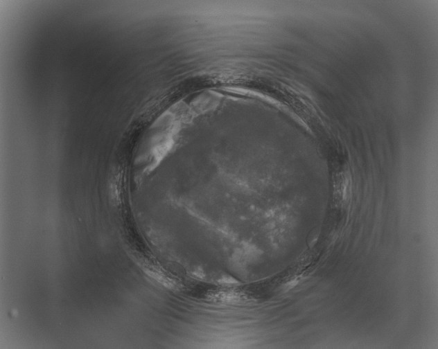 X0000073860503200608241112