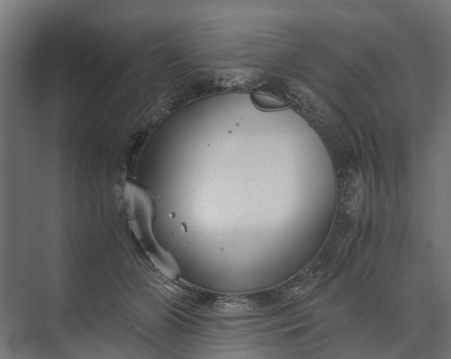 X0000073860510200608241112