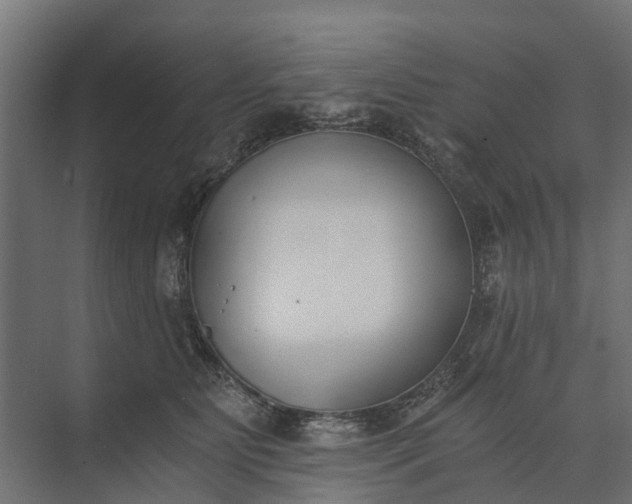 X0000073860515200608241112