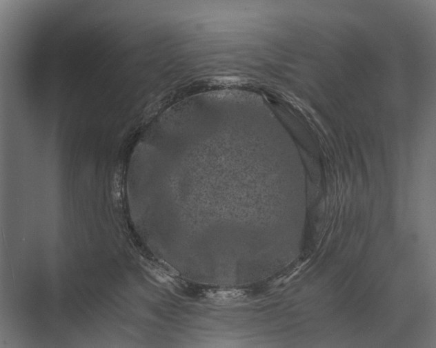 X0000073860517200608241112