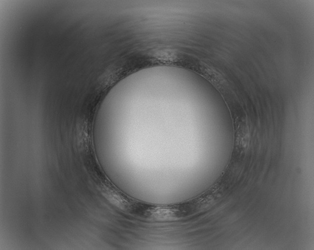 X0000073860518200608241112