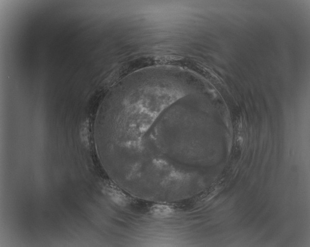 X0000073860519200608241112