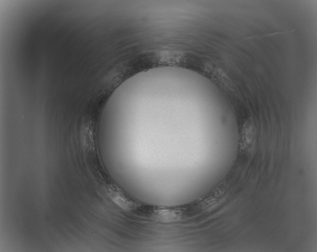 X0000073860522200608241112