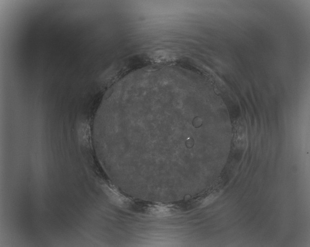 X0000073860523200608241112