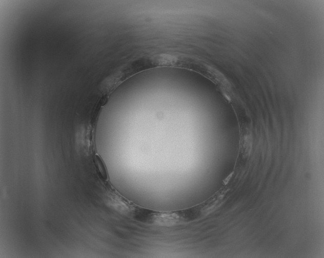 X0000073860525200608241112