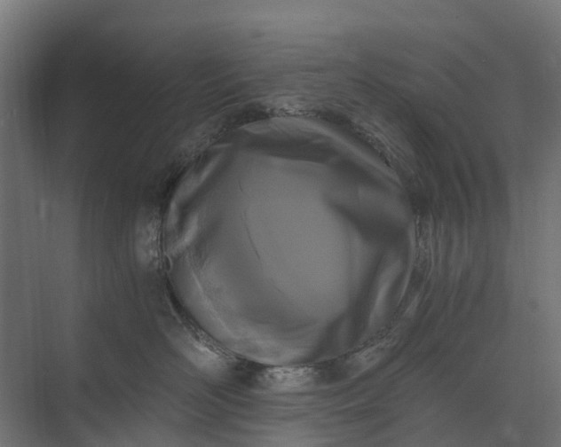 X0000073860526200608241112