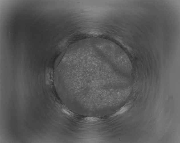 X0000073860528200608241112