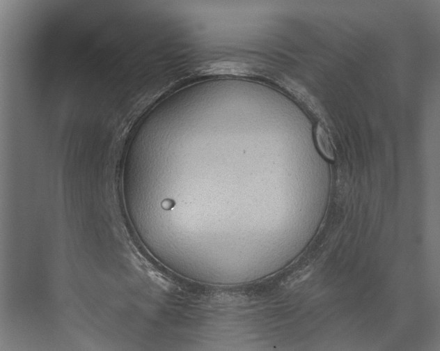 X0000073860529200608241111