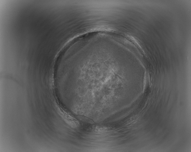 X0000073860531200608241111